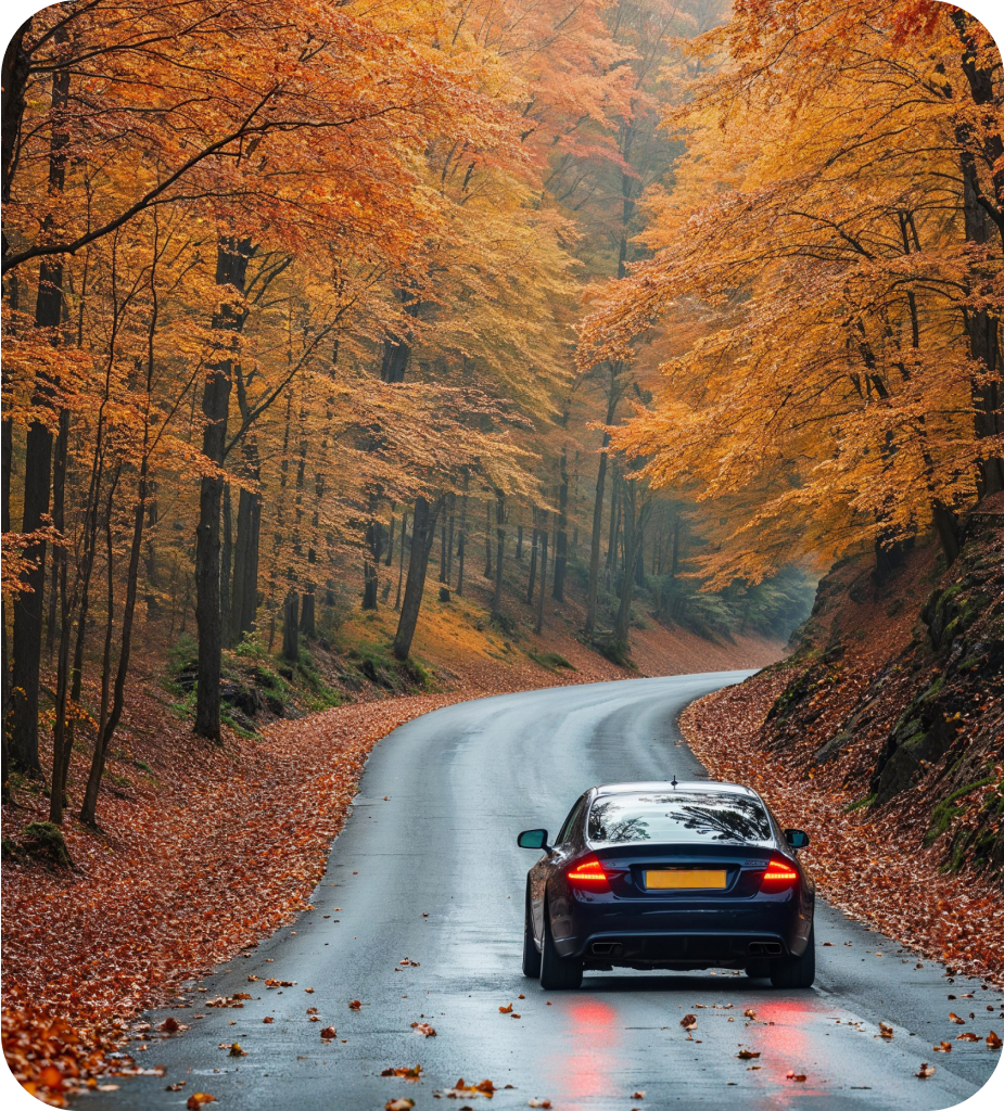 BMW 4 Series Convertible